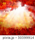 Autumn Background with Fall Leaves 30399914