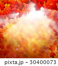 Autumn Fall Background with Red Maple Leaves 30400073