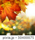 Autumn Border of Maple Leaves  30400075