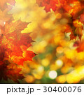 Autumn Background with Maple Leaves. Fall Border 30400076