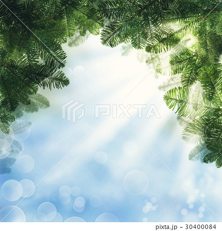 Christmas Background. Green Xmas Tree Twig 30400084