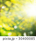 Summer Background with Green Foliage 30400085