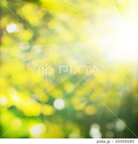 Summer Background with Green Foliage 30400085