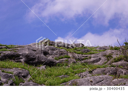 新緑の平尾台 30400435