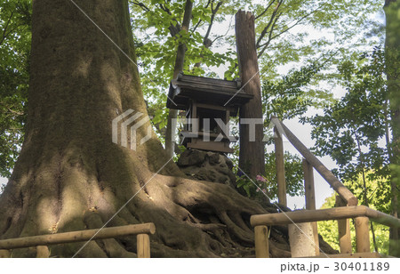 石神井公園にある姫塚（東京都練馬区） 30401189