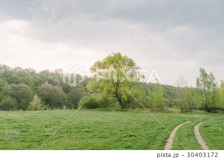 Spring landscape green trees 30403172