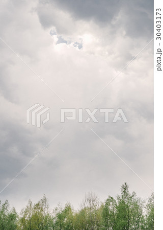 Cloudy sky, the tops of green trees 30403173