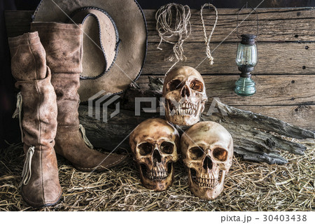 still life with three skull in barn background 30403438