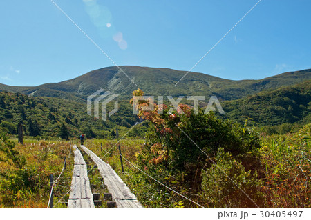 栗駒山　名残ヶ原 30405497