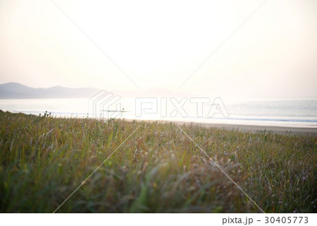 黒潮町の入野海岸で海をみた風景 30405773