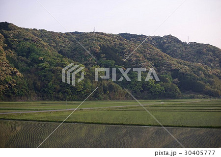 黒潮町の入野海岸で海をみた風景 黒潮町の入野海岸で海をみた風景 30405777