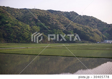 黒潮町の入野海岸で海をみた風景 30405778
