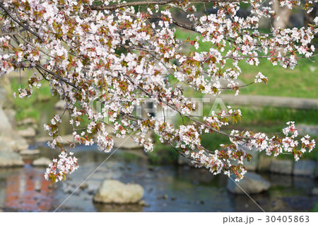 福住小川公園 30405863