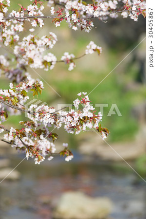 福住小川公園 30405867