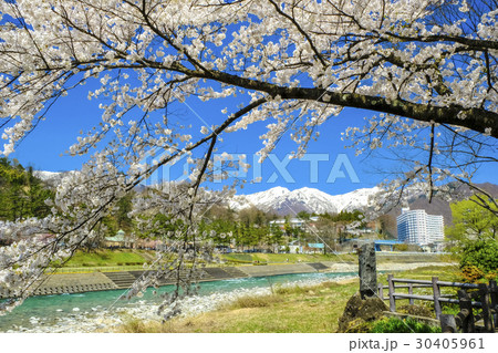 春の利根川と雪の谷川岳2 春の利根川と雪の谷川岳2 30405961