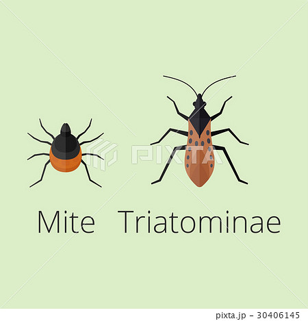 Colorful insects icons isolated wildlife wing Colorful insects icons isolated wildlife wing 30406145