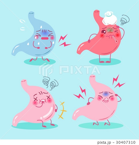 stomach with health concept 30407310