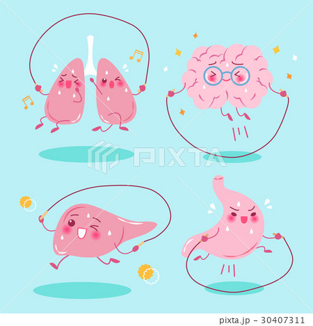 cartoon organs do exercise 30407311