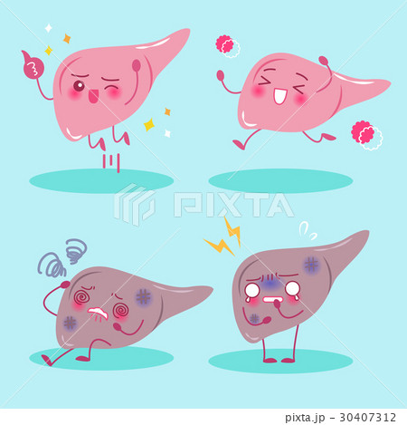 liver with health concept 30407312