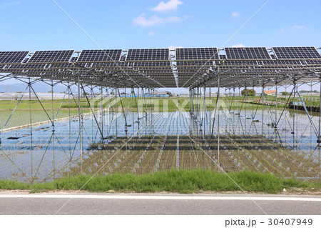 太陽光パネル_営農型ソーラー 三重県木曽岬町 太陽光パネル_営農型ソーラー 三重県木曽岬町 30407949