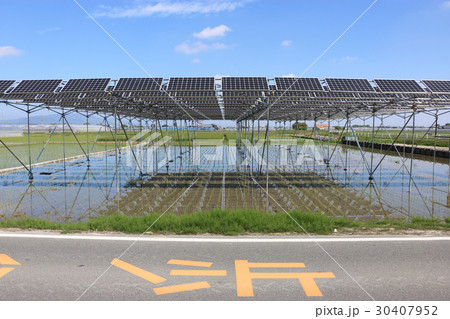 太陽光パネル_営農型ソーラー 三重県木曽岬町 太陽光パネル_営農型ソーラー 三重県木曽岬町 30407952