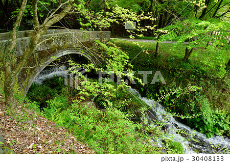 熊本県 池山水源 30408133