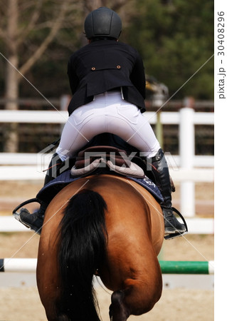 馬術競技 馬術競技 30408296