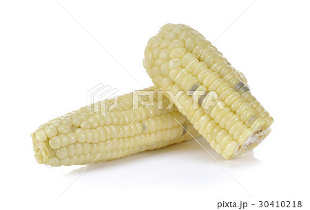 Corn boiled on white Corn boiled on white 30410218