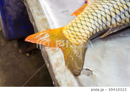 Fresh fish on a marketplace table Fresh fish on a marketplace table 30410322