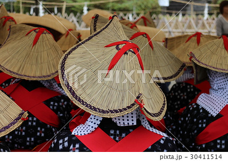 早乙女姿 早乙女姿 30411514