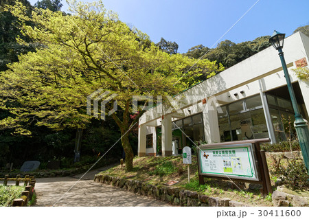 箕面公園昆虫館と滝道 30411600