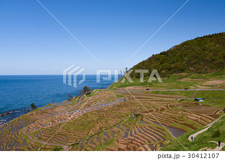 白米千枚田 30412107