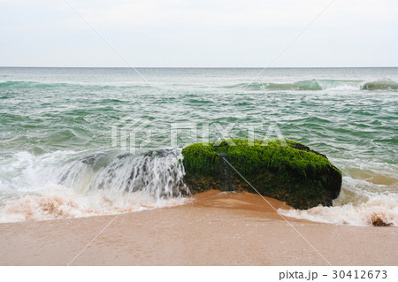 Rock covered in seaweed at beach Rock covered in seaweed at beach 30412673