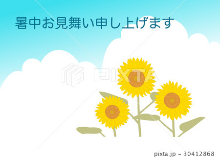 暑中見舞い:ひまわりと夏空 暑中見舞い:ひまわりと夏空 30412868