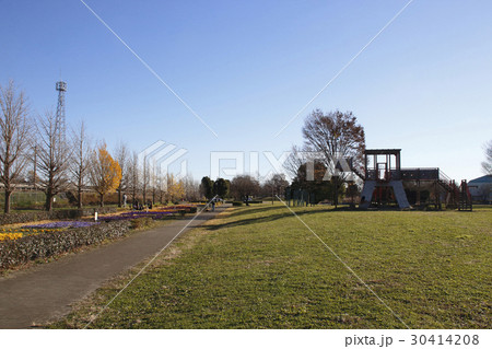 出羽公園(埼玉県越谷市) 出羽公園(埼玉県越谷市) 30414208