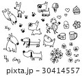 かわいい犬のボールペンイラスト 30414557