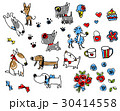 かわいい犬のボールペンイラスト 30414558