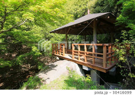 香川県小豆島町　寒霞渓　紅雲亭（表１２景　第２景） 30416099