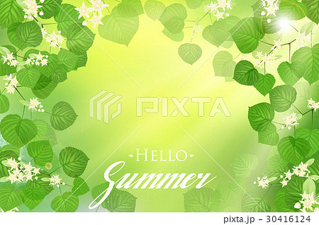 Forest fresh green leaves with sun rays Forest fresh green leaves with sun rays 30416124