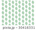 ヒイラギ葉脈すだれ 30416331