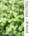 屋外ポートレート背景用素材02 30417602