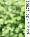 屋外ポートレート背景用素材03 30417604