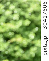 屋外ポートレート背景用素材05 30417606