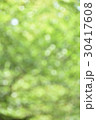 屋外ポートレート背景用素材07 30417608