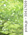 屋外ポートレート背景用素材08 30417609