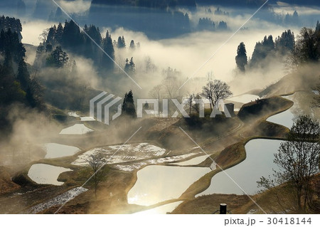 蒲生の棚田の写真素材