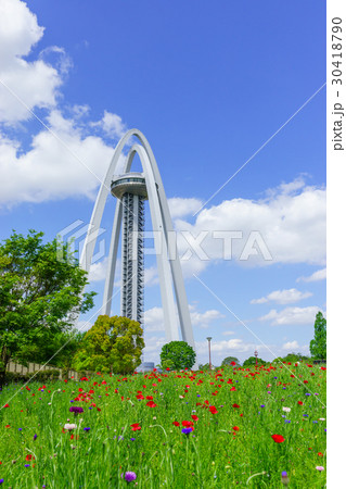 138タワーの花畑 30418790