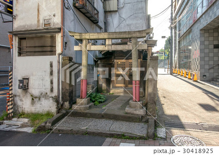 茶の木稲荷 30418925