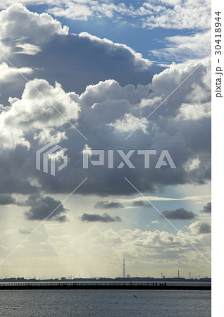 スカイツリー遠望 30418944