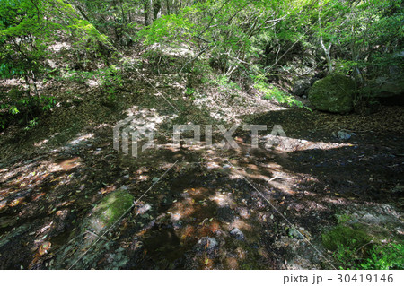 香川県小豆島町　寒霞渓　戛玉渓（素麺流し） 30419146